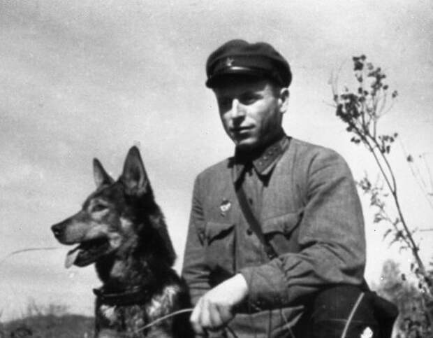 Никита Карацупа: советский пограничник, который ликвидировал 120 нарушителей