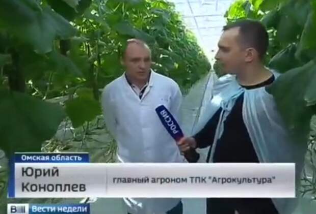 Говорящие фамилии Фамилия, Коллекция, Длиннопост