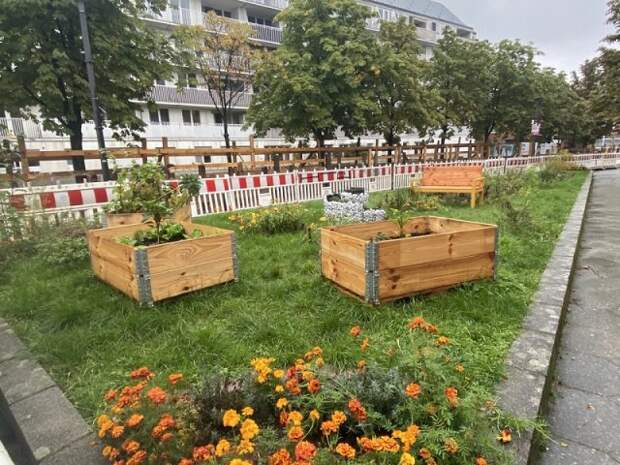 высокие грядки в детском саду