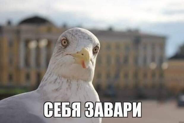 Картинки с надписями