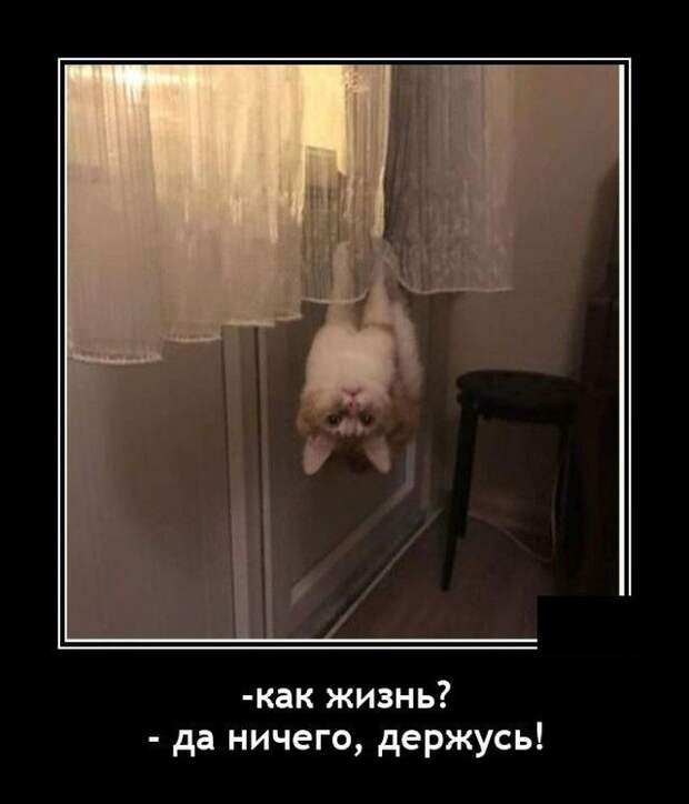 demotivatory-demotivator-smeshnye-demotivatory-demotivator-so-smyslom