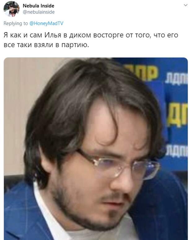 Мэддисон вступил в ЛДПР