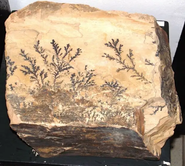 Аркаим: город-сказка? | Первые впечатления от прикосновения к Вечности