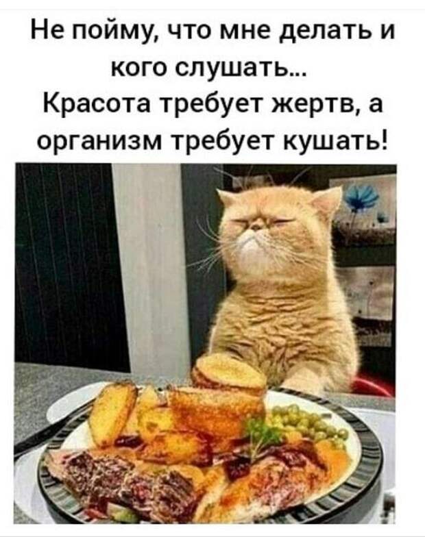 Подборка улетных картинок и мемов