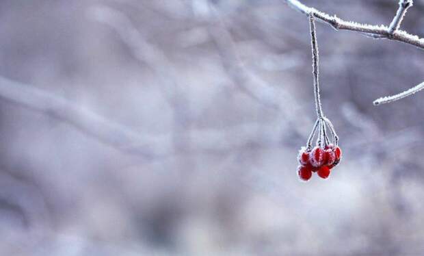 Зима/ Фото pixabay.com