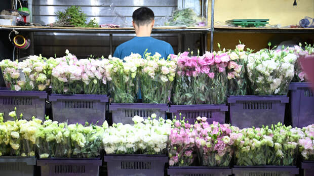 «Маме и девушке»: жители Москвы оценили стоимость букетов на Рижском рынке в День всех влюбленных