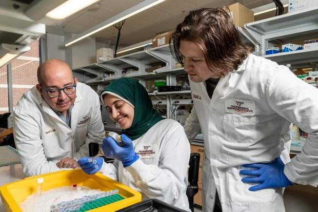 Блокирование двух белков обратило вспять рубцевание лёгких в доклинических моделях