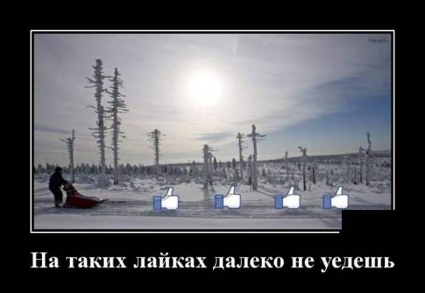 www.vsyako.net