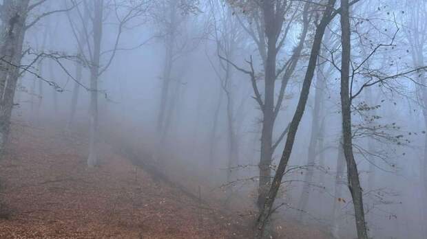 Тепло и туманно: погода в Крыму в пятницу