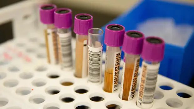 Число жертв коронавируса в США превысило 200 тысяч