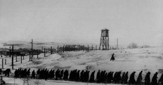 Как Солженицын превратил убийц и предателей в героев восстание.Солженицын, гулаг, история