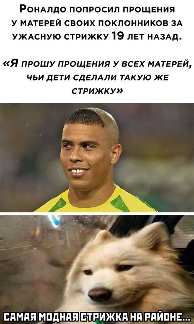 Смешные картинки 31 марта 2021
