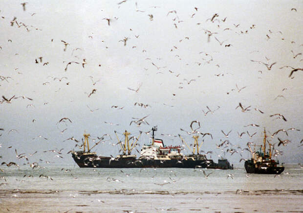 Судно с россиянами на борту арестовали в Намибии