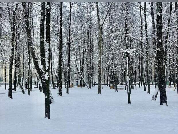 Синоптики сообщили об аномальной погоде в Чите в 2025 году