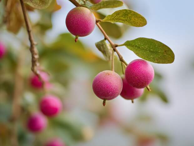 «Росгосстрах Жизнь» в 2025 году выплатила клиентам более 1,2 млрд рублей в результате несчастных случаев и серьёзных заболеваний