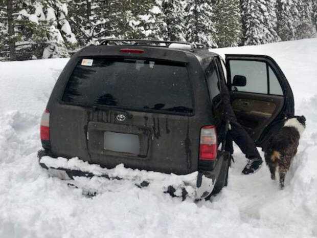 https://image.newsru.com/v2/02/2019/03/4/49c8560869234afb53a1408d56c5a801.jpg