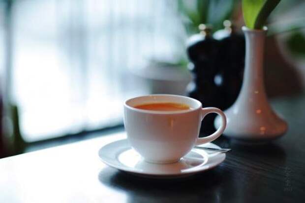 Облепиховый чай в френч прессе. Топ-14 популярных рецептов облепихового чая