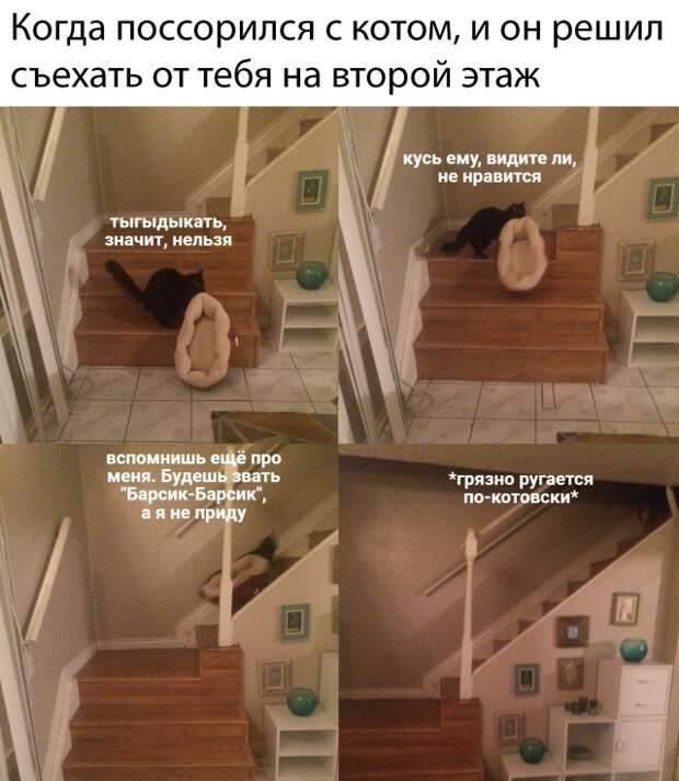 www.vsyako.net