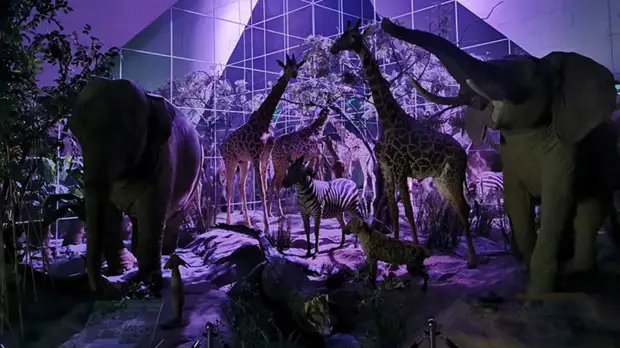 Экскурсия по закрытым фондам и антифашистская графика: за чем следить во время «Ночи музеев» в режиме онлайн