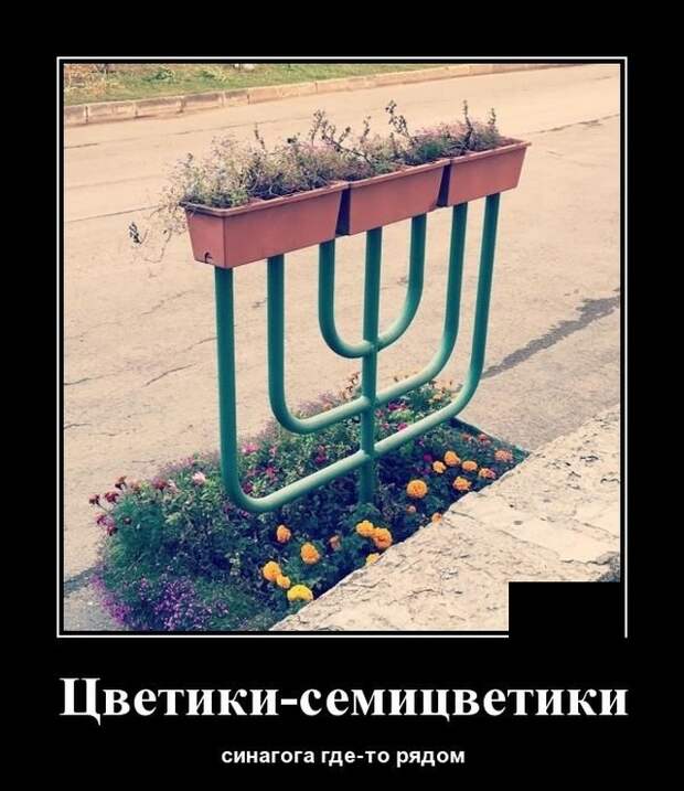 Демотиваторы (20 фото)