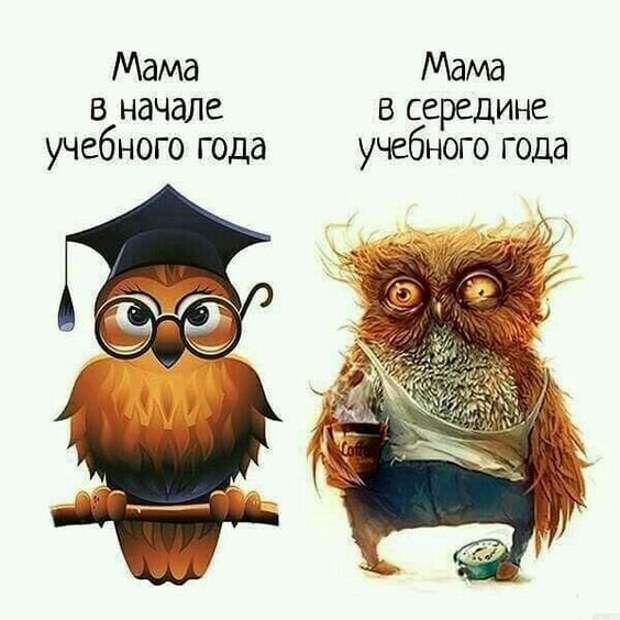 Школьные будни: приколы о годах, проведённых за партой