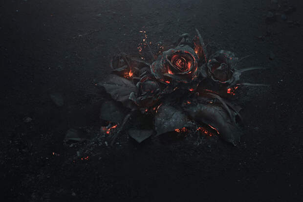 Результат огонь, роза, фотография