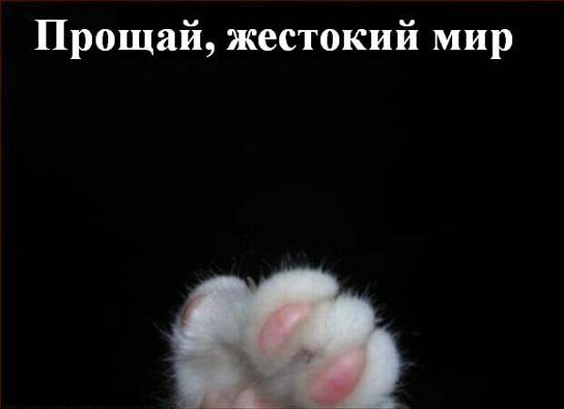 Мысли2 :) (50мыслей)