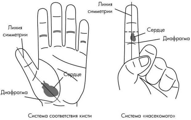 Точки, которые спасут от сердечной боли Точки, которые спасут от сердечной боли