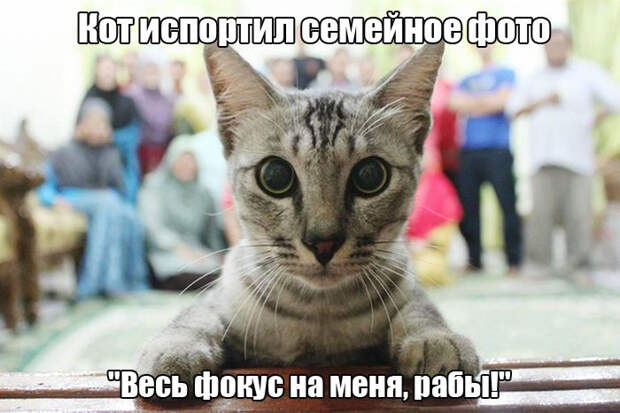 1449867821_kartinki-22