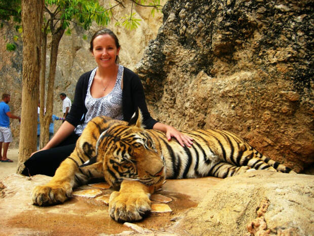 Запрет на селфи с тиграми. | Фото: Yousense.info.