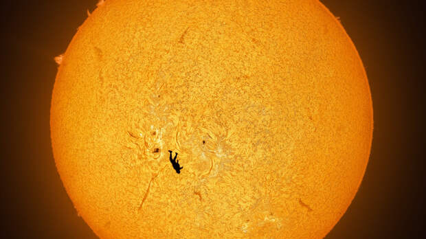 Лучшие научные снимки 2025 года