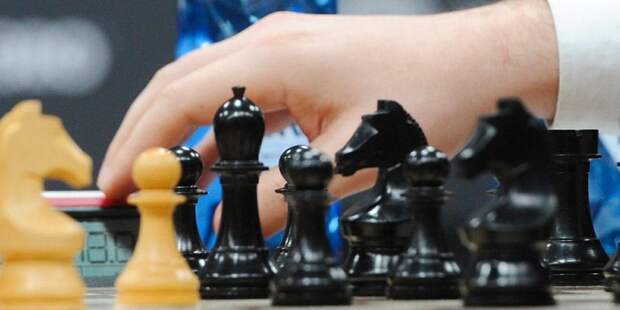 Стали известны подробности программы Дня шахмат на ВДНХ / Фото: mos.ru