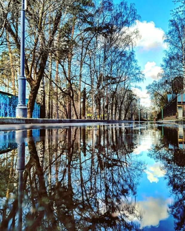 Фото дня: двойное небо в Лосинке