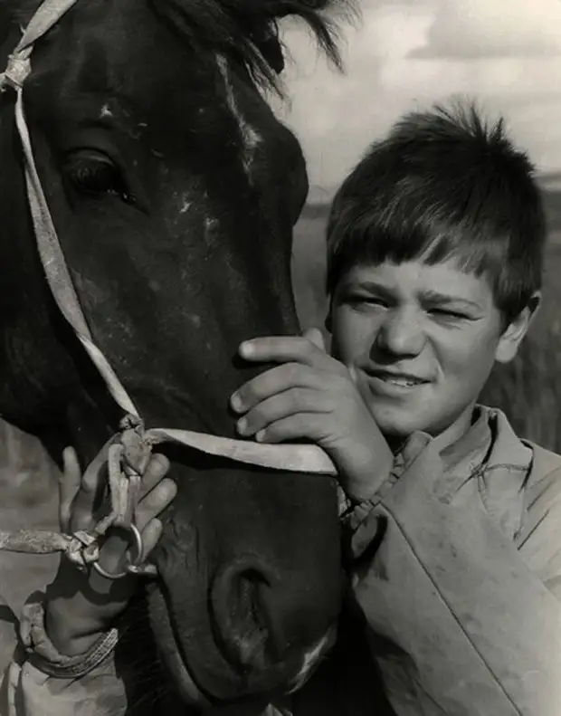 Мальчики пои. Мальчик на лошади. Мальчик на лошадке. Деревенский мальчик на лошади. Мальчик на коне.