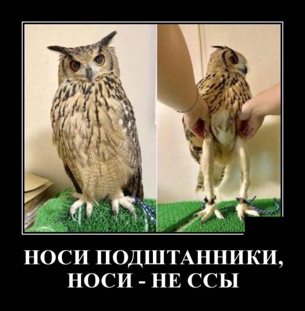 Демотиваторы (20 фото)