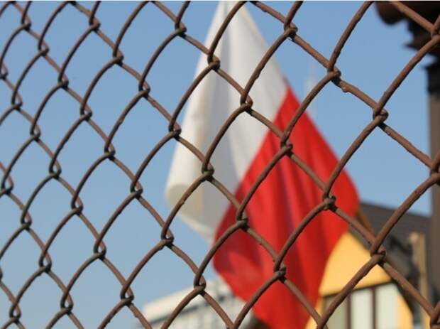 Польша и Прибалтика планируют построить непреодолимый барьер на границе с РФ