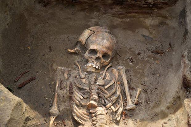 Ученые узнали точный возраст одного из самых полных скелетов неандертальца