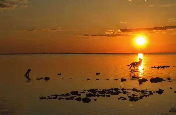 Озеро Эльтон — российское Мертвое море