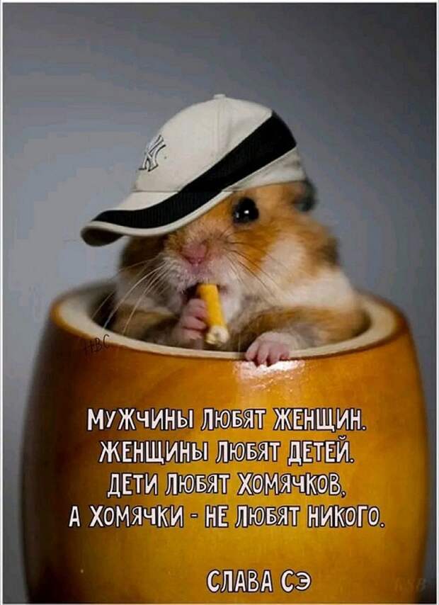 Подборка юмора для заряда позитивом