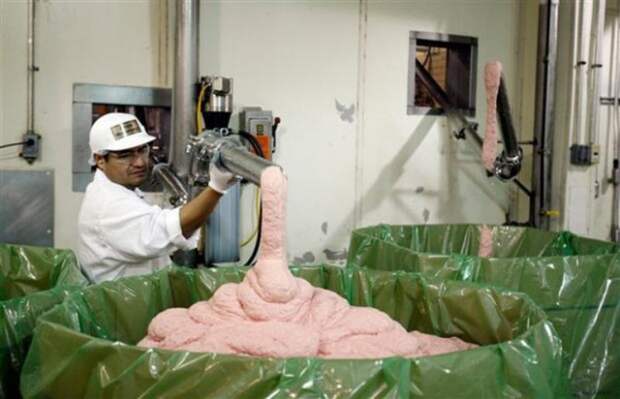 bannedfood07