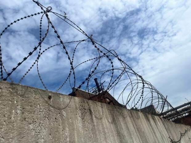 Военного пенсионера отправили в ИК на 8 лет за хранение наркотиков в Петербурге