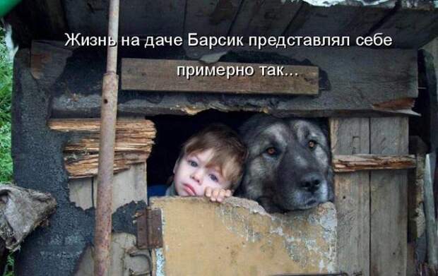 Свежие картинки с надписями на утро (01.06.2023)