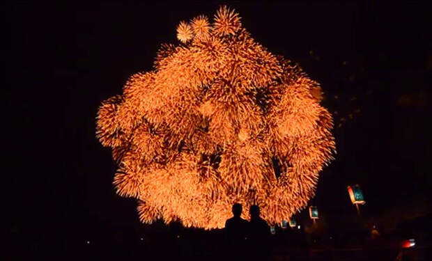 Источник фото: Reddit