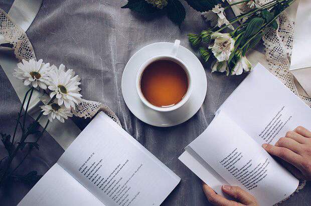 Книга. Фото: pixabay.com