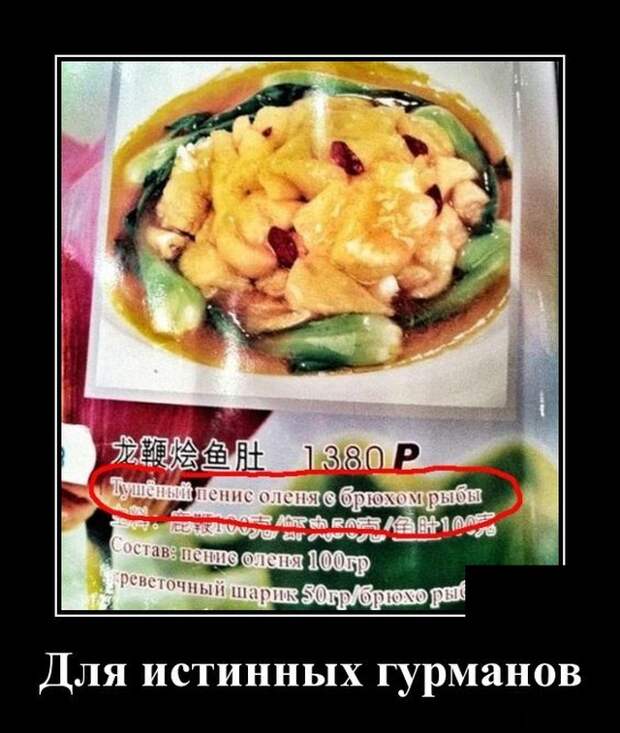 Демотиваторы (20 фото)
