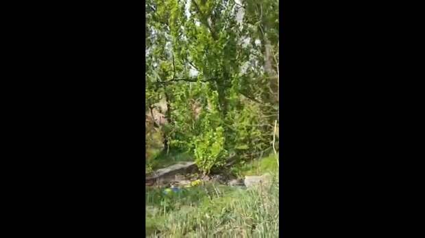 Video: Видео от Донецкая группа новостей|Донецк.ДНР