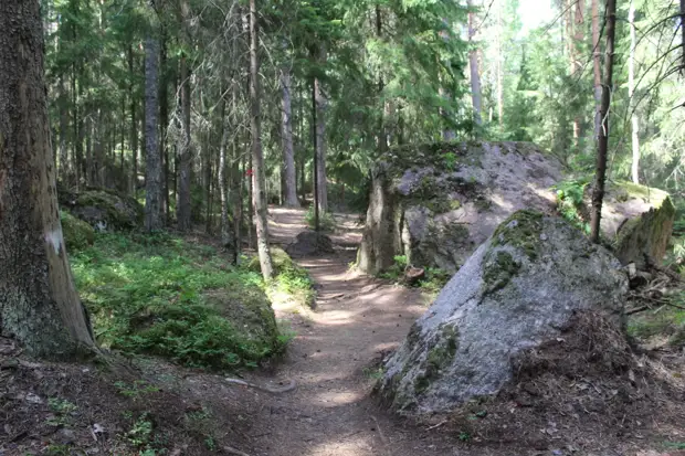 "Тянутся сосны в прозрачное небо, глыбы гранита заснули давно..." Парк Монрепо в Выборге