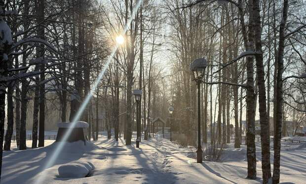 В Архангельскую область придут сорокаградусные морозы