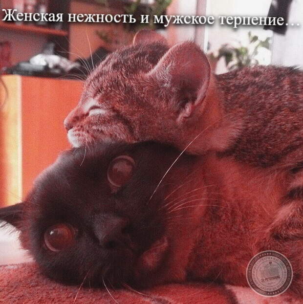 Терпение