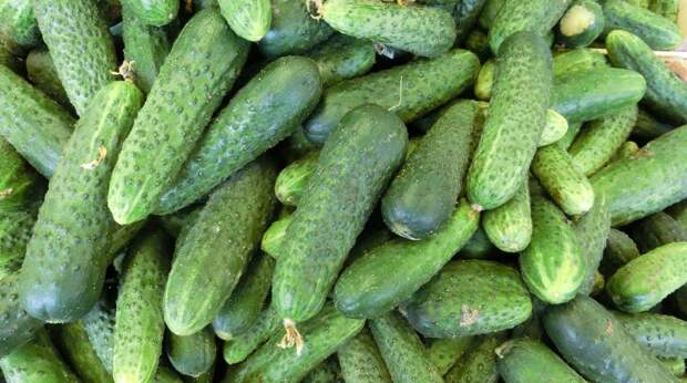 Наталья Штурм возмутилась росту цен на продукты